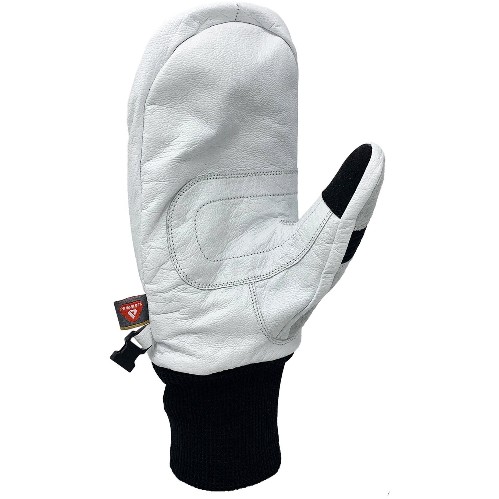 Transform The Photo Incentive Mitt White
